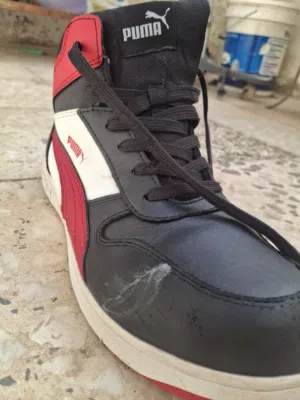 حذاء PUMA سبور الأصلي مستعل