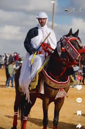 حصان للبيع