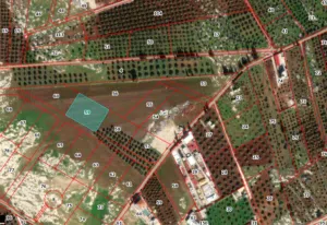 Farm Land for Sale in Irbid Sama Al-Rousan