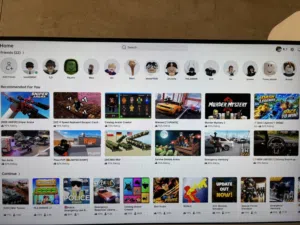 حساب بلوكس فروت وعليه شات و بورتل دائم وماجما دائم و السعر قابل للنزول مش ثابت موجود تحويل وكليك