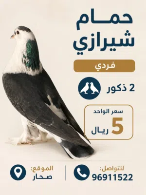 حمام شيرازي العدد 2