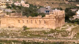 Farm Land for Sale in Amman Iraq Al Ameer