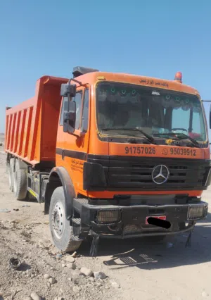 marsdi Tiper for sale