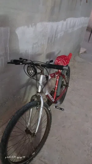 بسكليت نمره 24