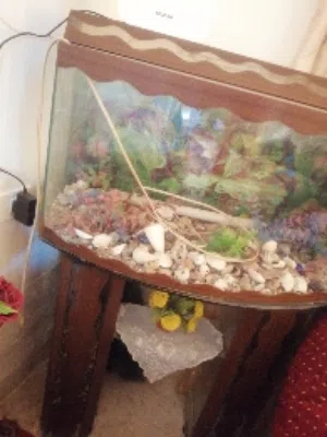 حوض سمك للبيع