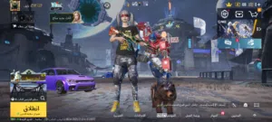 حساب ببجي فل سكنات قوي