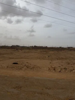 هكتار خلف شيل البرشا
