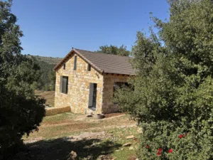 3 Bedrooms Farms for Sale in Ajloun A'anjara