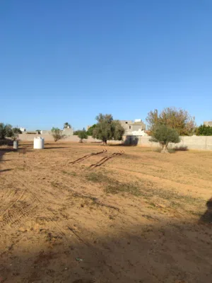 Residential Land for Sale in Tripoli Airport Road