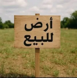 قطعك ارض في البوعيثة شواطئ دجله 100 متر