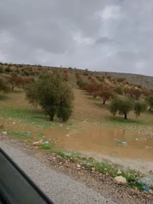 Farm Land for Sale in Zarqa Al-Alouk
