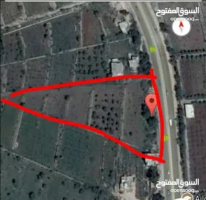 Farm Land for Sale in Ajloun A'fna