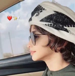 آل نهيان 