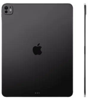 Apple iPad Pro 13 256 GB in Muscat