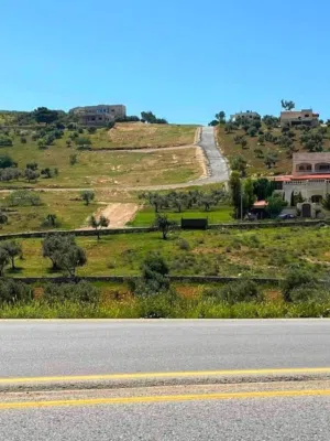 Residential Land for Sale in Amman Shafa Badran