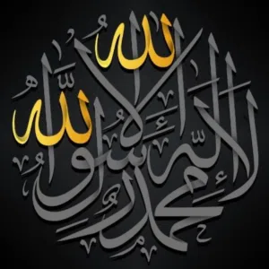 أسامة السروري 