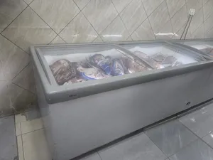 Freezers . Askemo . Used1