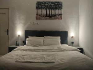 غرفة يومي room daily VIP Alshurah