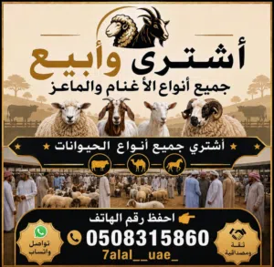 مطلوب الحلال الجمله العدد مفتوح