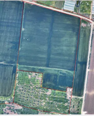 Residential Land for Sale in Jenin Other