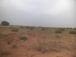 هنقر في المشتل لايجار