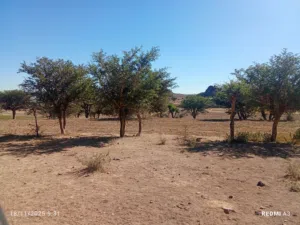 Farm Land for Sale in Sana'a Sabaha
