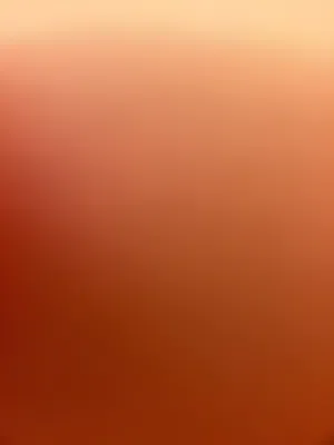 150 m2 3 Bedrooms Apartments for Rent in Ramallah and Al-Bireh Beitunia