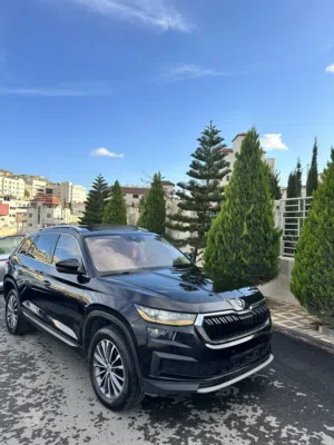 متوفر عدد 2 كودياك/ك فل اضافات