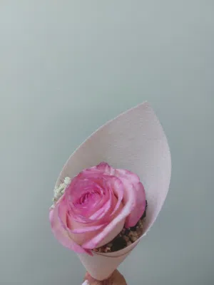 رحاب عادل أحمد عبدالعال 