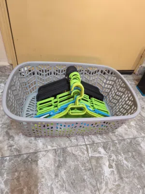 storage and clothes hangers total 33