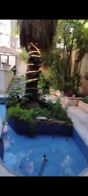 430 m2 4 Bedrooms Apartments for Sale in Damascus Mezzeh