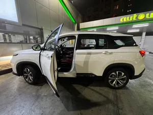 Chevrolet . Captiva . 20242