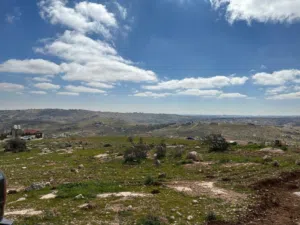 Residential Land for Sale in Zarqa Um Rummanah