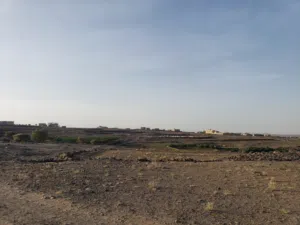 قطع اراضي من 3 لبن بمليون ريال موقعها بعد الصباحه ب 5 كيلو حر مخطط دولة مضمونه