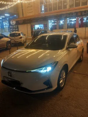 شانجان ايدو