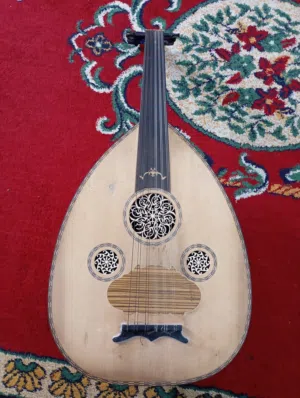 عود للبيع