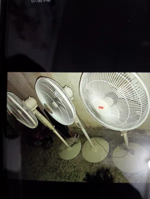 tat taban fan
