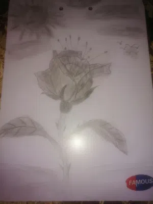 Mn17eer gtm