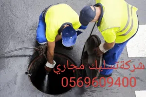 Abo Zaed 