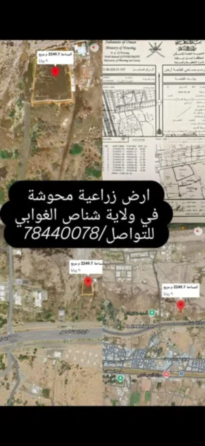 Farm Land for Sale in Al Batinah Shinas