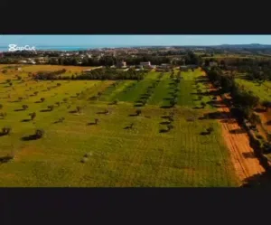 Mixed Use Land for Sale in Al Khums Other