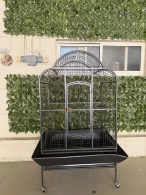 قفص بغبغاء حجم كبير parrot cage