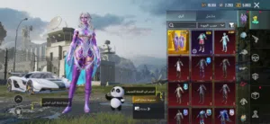Pubg Accounts and Characters for Sale in Al Sharqiya