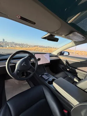 Tesla Model 3 Standard Plus 2022