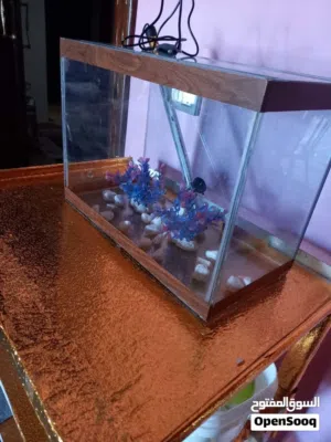 حوض سمك مستعمل سنه.  مع فلتر 6 واط.بسعر 10 ليرات..  .الموقع ماركه الجنوبيه ..جبل النصر دوار الجبالي.