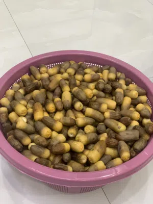 رطب نغال للبيع