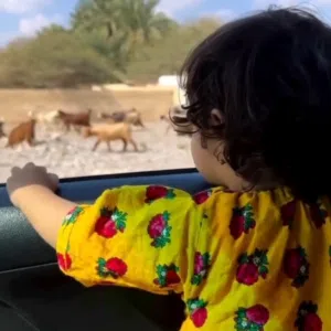 ابن سفير 