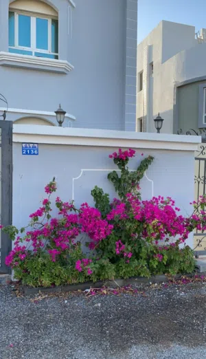 363 m2 5 Bedrooms Villa for Sale in Muscat Al Maabilah