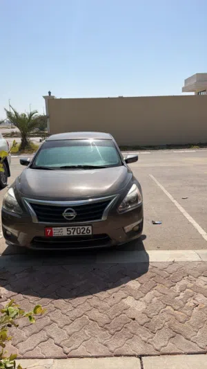 نيسان التيماء