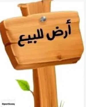 ارض للبيع في سريع وادي الربيع